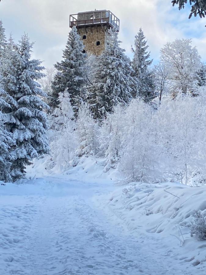 Appartamento Platynowy Szklarska Poręba Esterno foto