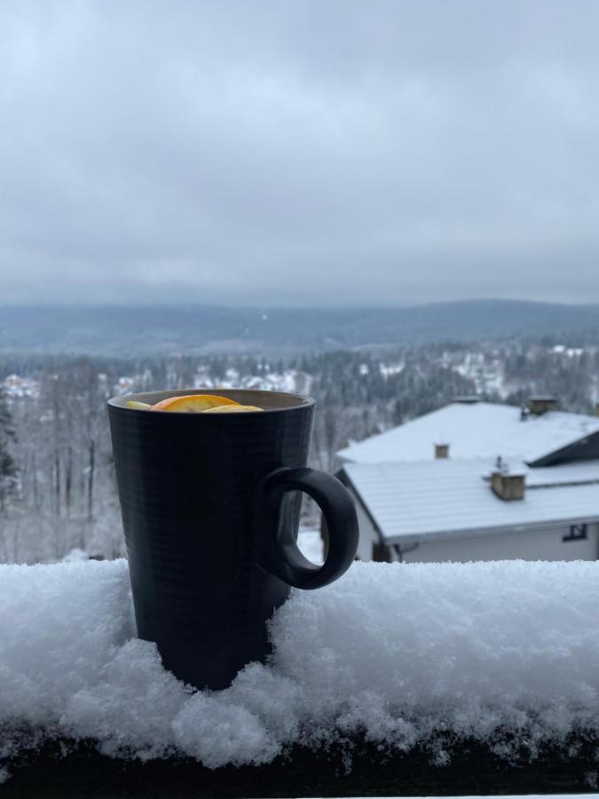 Appartamento Platynowy Szklarska Poręba Esterno foto